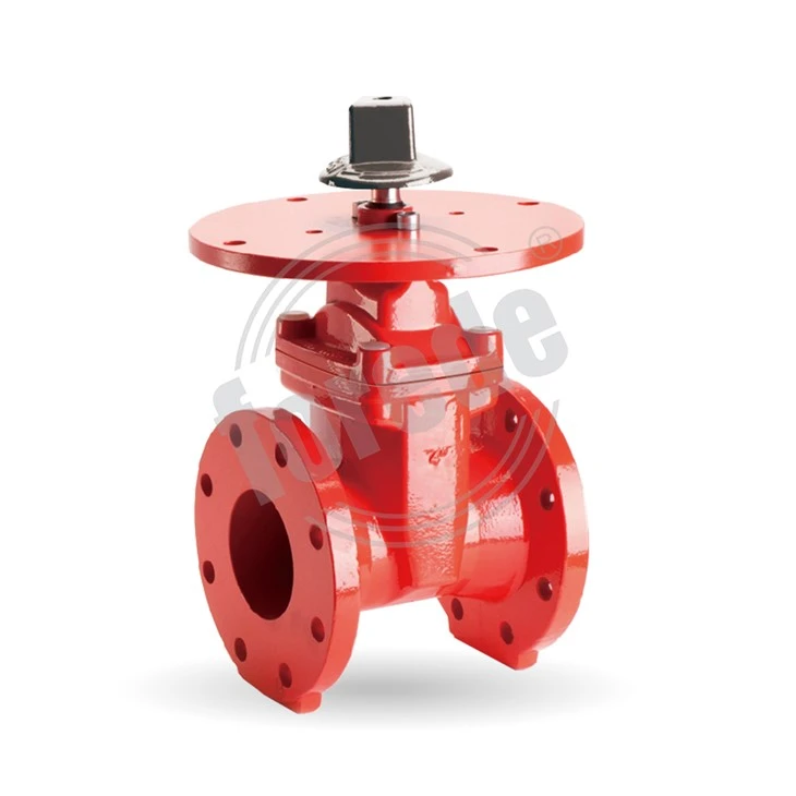 8 Valv tal-Bieb tal-Flanged