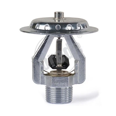 Kostruzzjoni ta' Bexxiexa tan-Nar