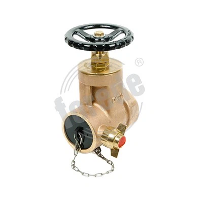 Nixxef Riser Gate Valve BSP Female