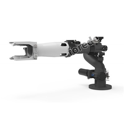 Monitor tan-nar 2.5 Pulzier